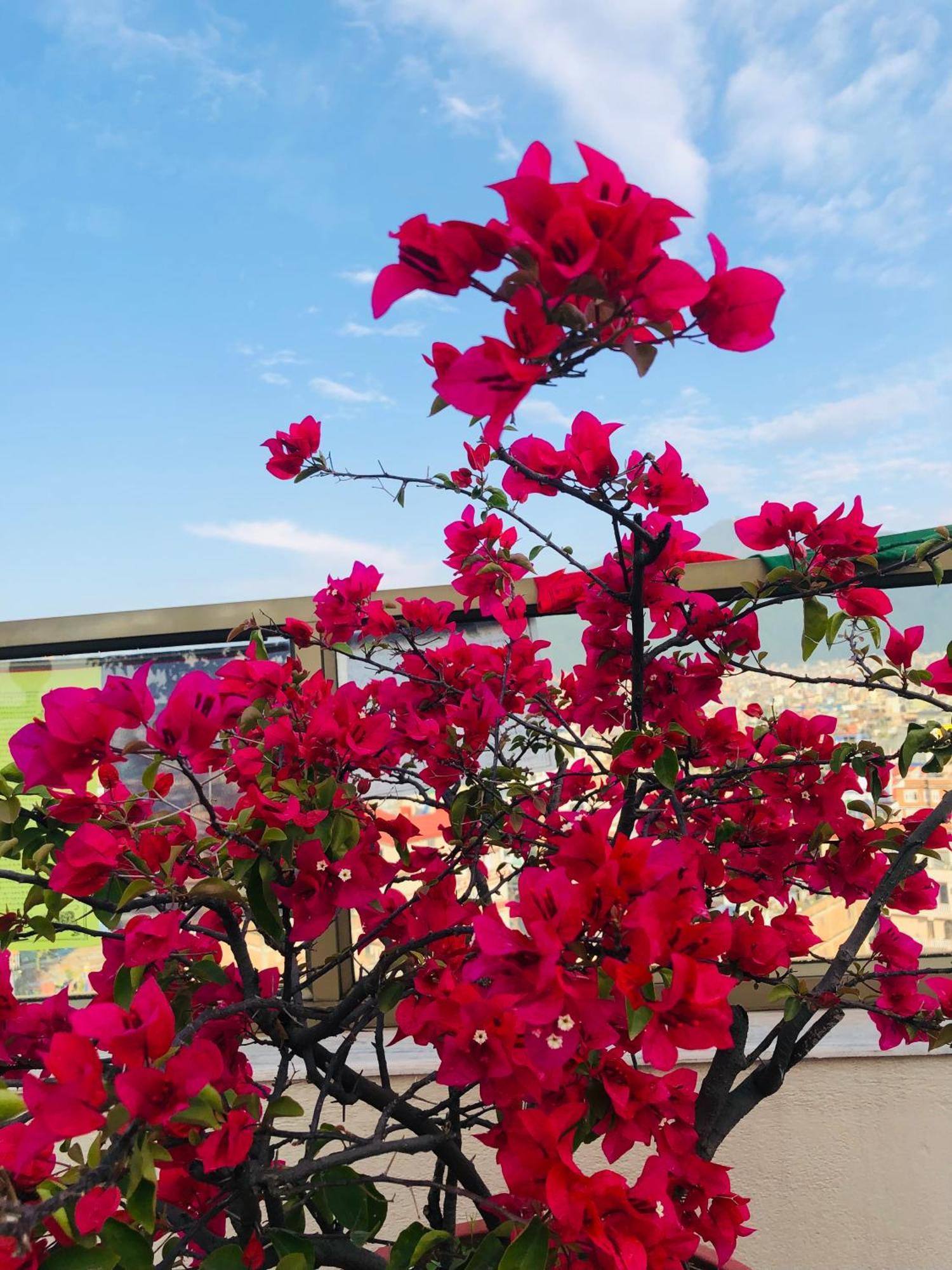 Kathmandu View Hotel 외부 사진